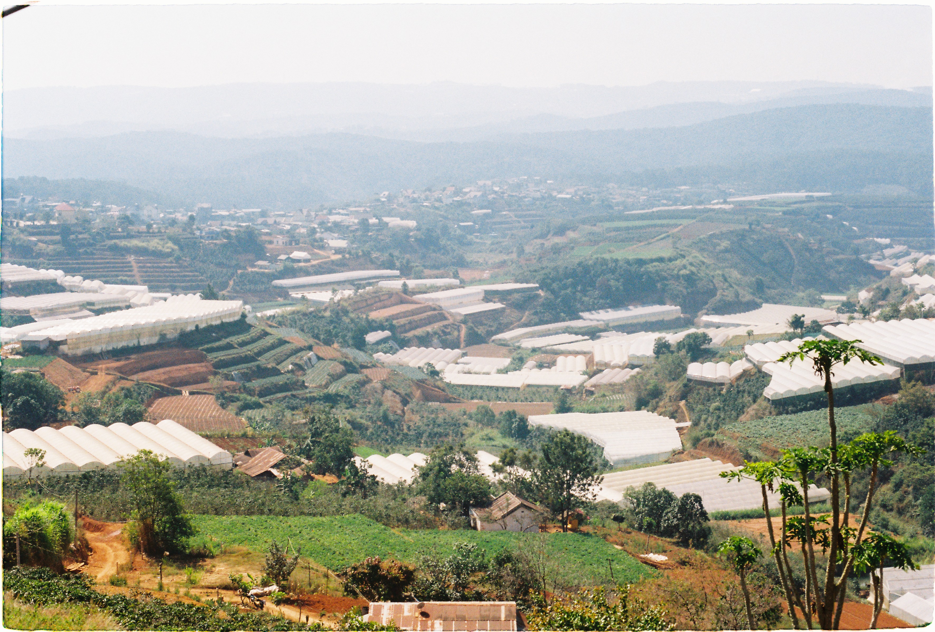 Đà Lạt tháng Ba